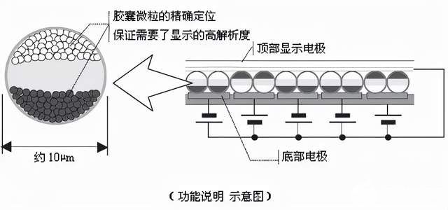 AG真人国际旗舰厅-真人游戏第一平台